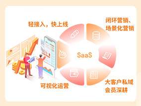 高效的SAAS系統